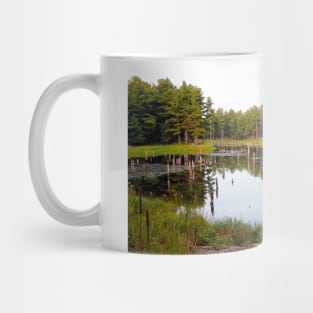 Beaver Pond Frontenac Provincial Park No.2 Mug